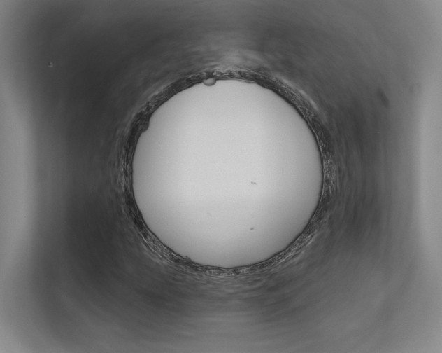 X0000112391207200908131337