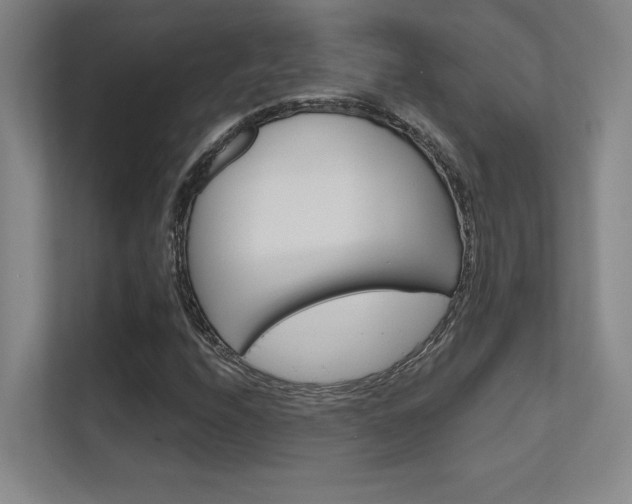 X0000112391208200908131337