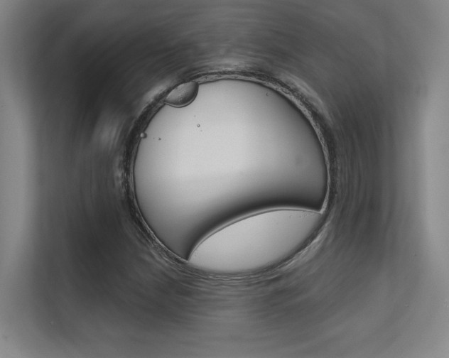 X0000112391210200908131337