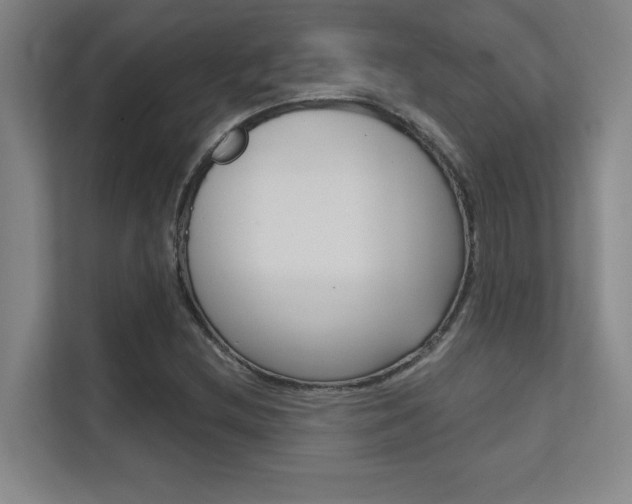 X0000112391212200908131337