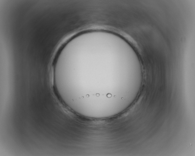 X0000112391223200908131337