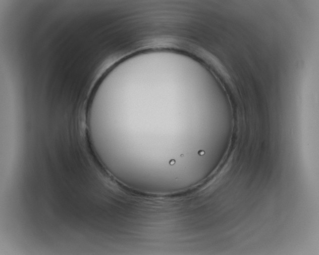 X0000112391226200908131337