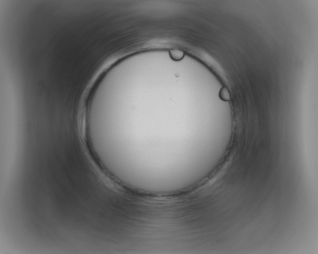 X0000112391227200908131337