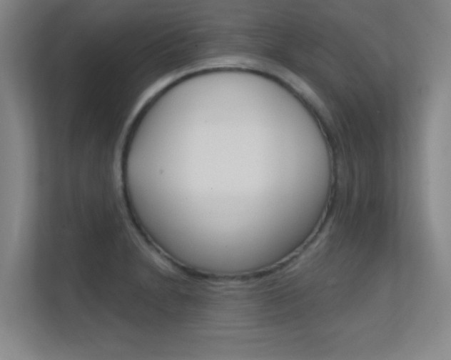 X0000112391230200908131337