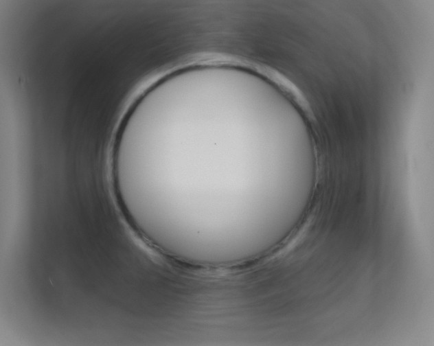 X0000112391231200908131337