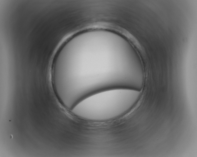 X0000112391232200908131337