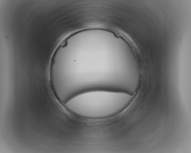 X0000112391236200908131337