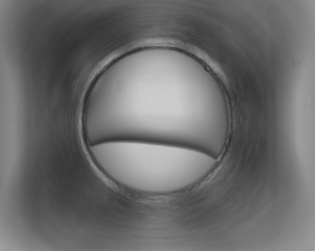 X0000112391237200908131337