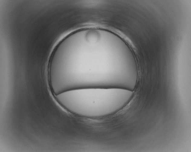 X0000112391239200908131337