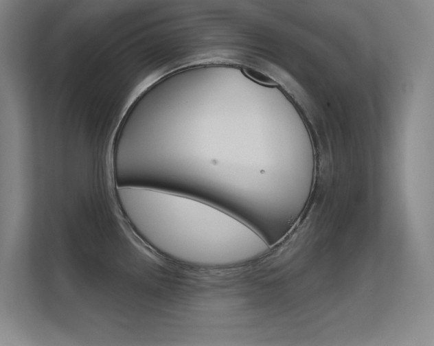X0000112391242200908131337