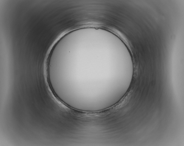 X0000112391243200908131337