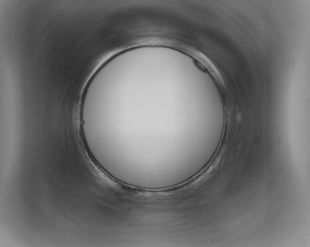 X0000112391244200908131337