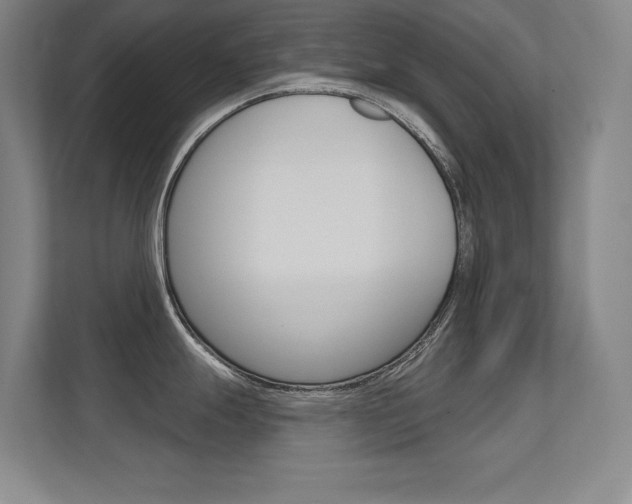 X0000112391247200908131337
