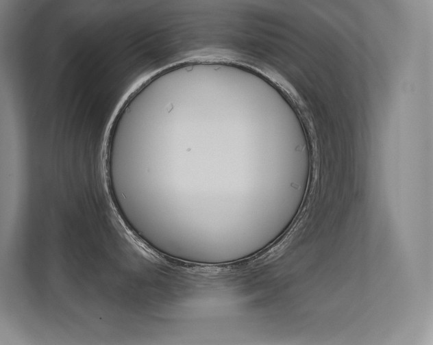 X0000112391248200908131337