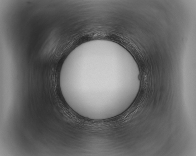 X0000112391250200908131337