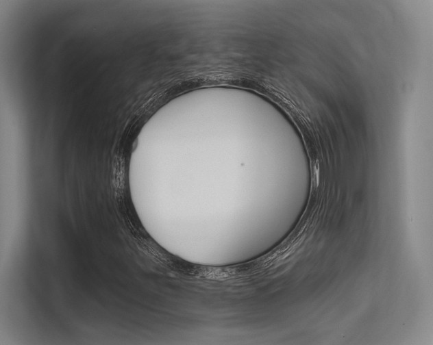 X0000112391251200908131337