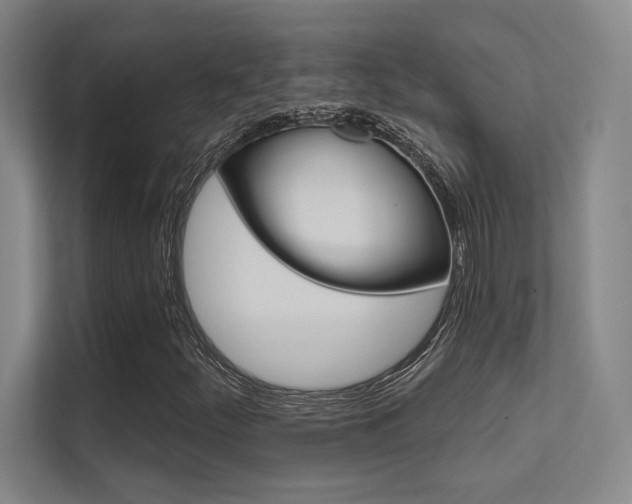 X0000112391252200908131337