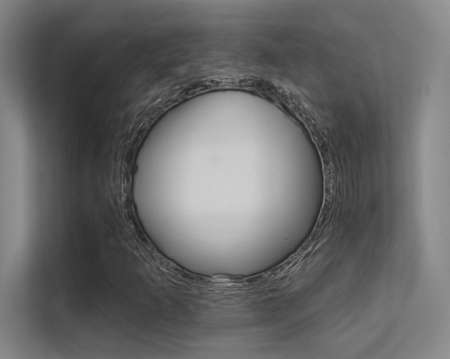 X0000112391253200908131337