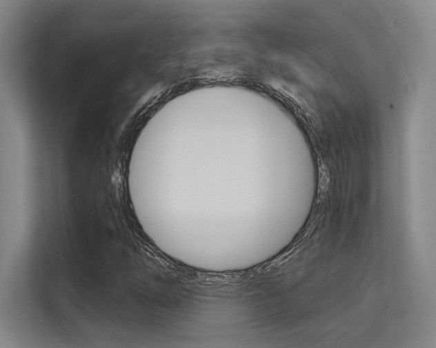 X0000112391254200908131337