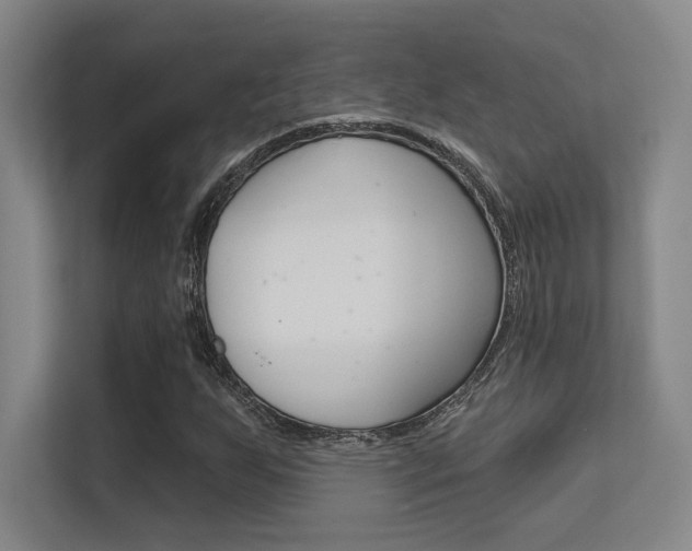 X0000112391255200908131337