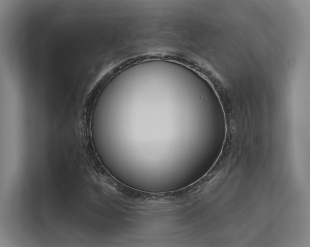 X0000112391256200908131337