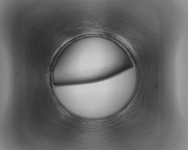 X0000112391260200908131337