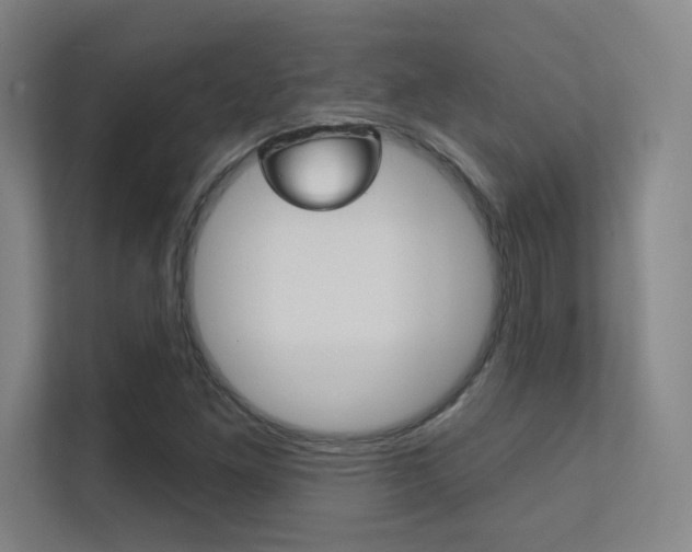 X0000112391261200908131337