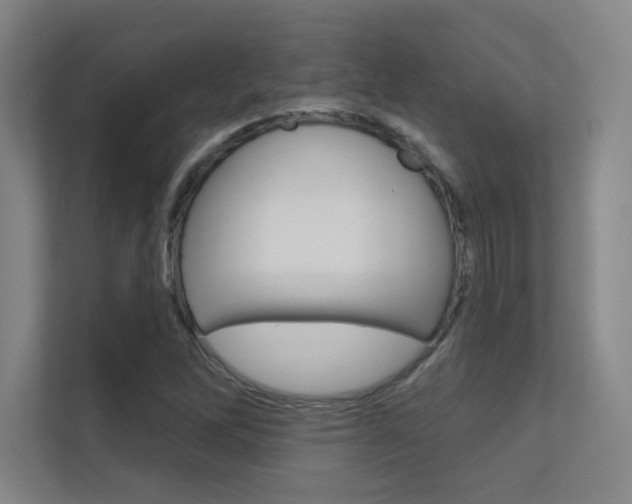 X0000112391262200908131337