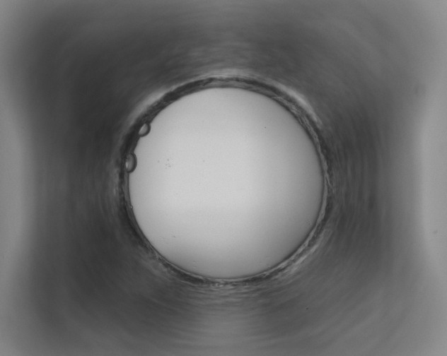 X0000112391263200908131336