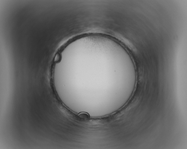 X0000112391264200908131336