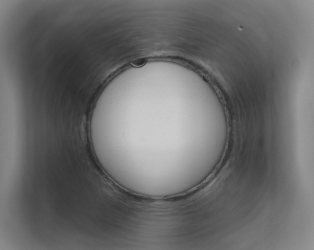 X0000112391265200908131336