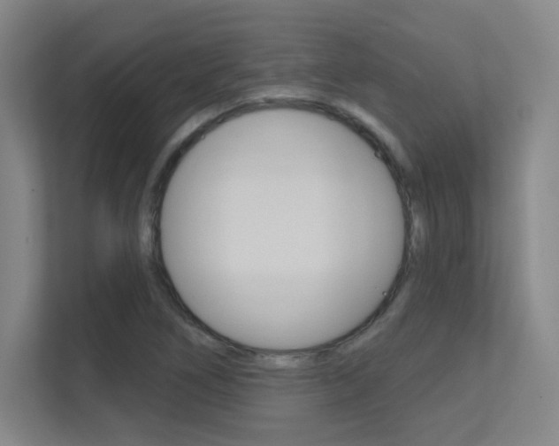 X0000112391266200908131336