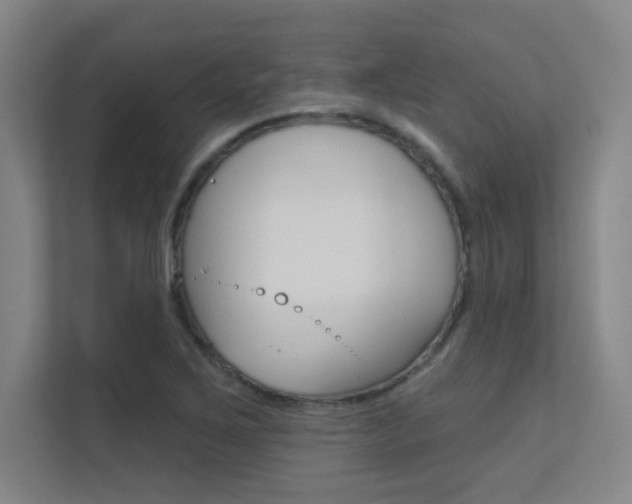 X0000112391267200908131336