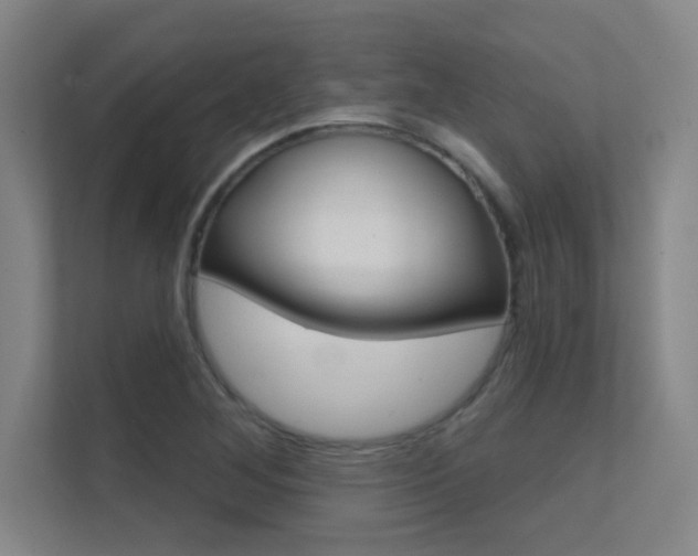 X0000112391268200908131336