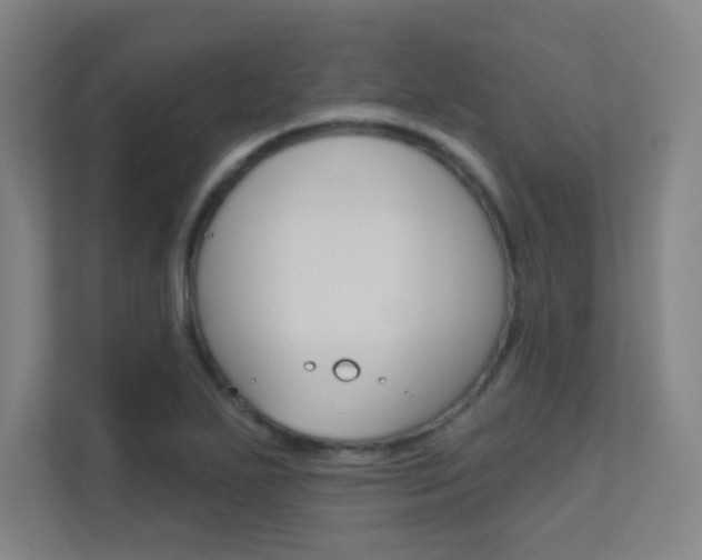 X0000112391271200908131336