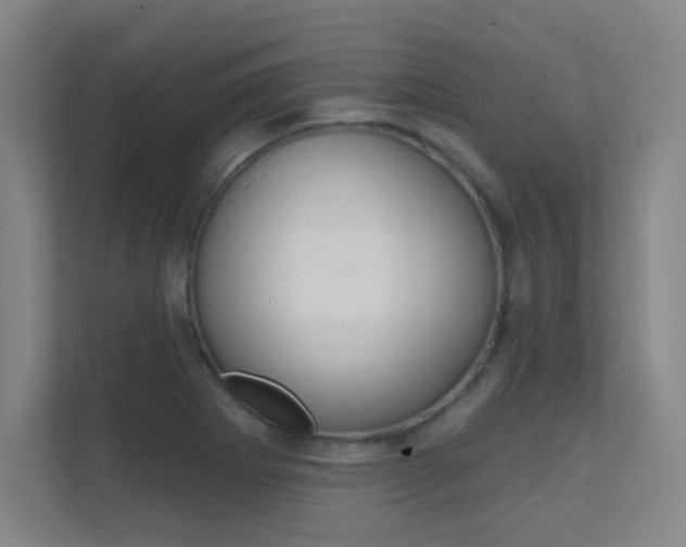 X0000112391273200908131336