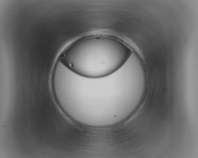 X0000112391277200908131336