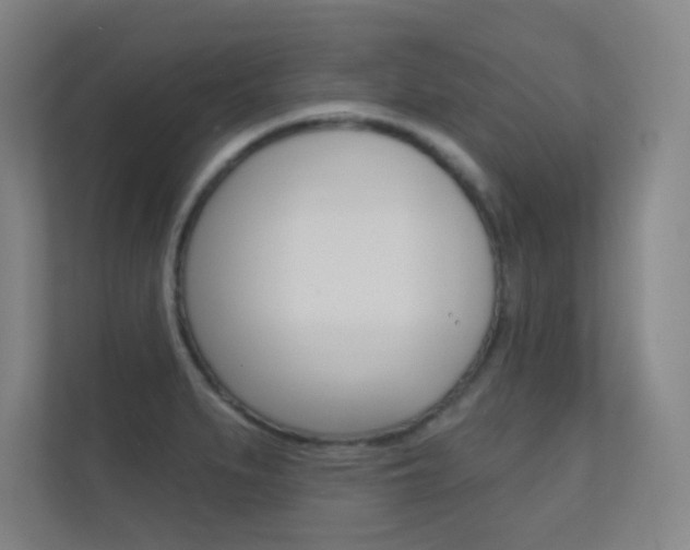 X0000112391279200908131336