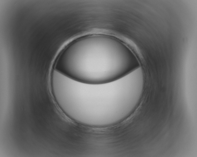 X0000112391280200908131336