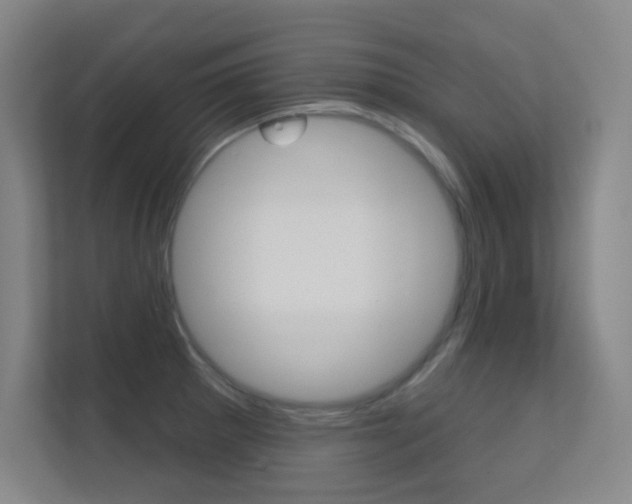 X0000112391281200908131336