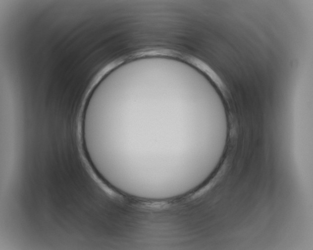 X0000112391282200908131336