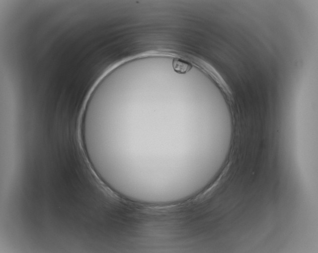 X0000112391284200908131336