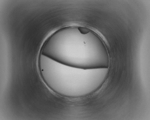 X0000112391285200908131336