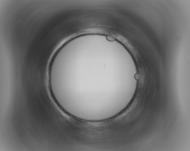 X0000112391286200908131336