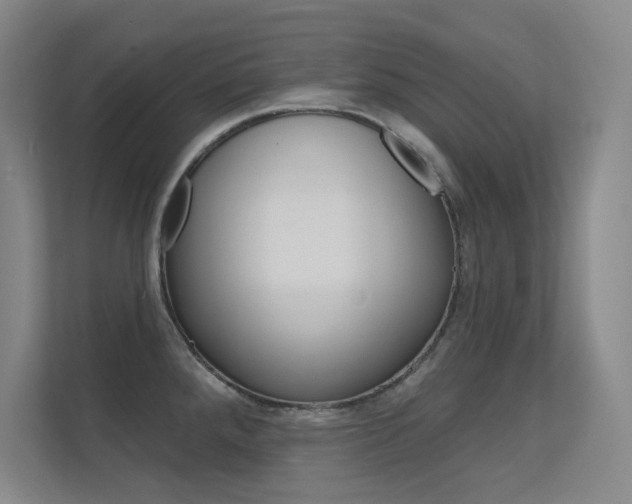 X0000112391288200908131336