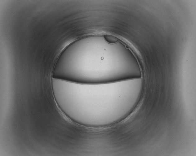 X0000112391289200908131336