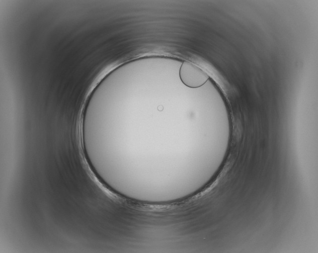 X0000112391290200908131336