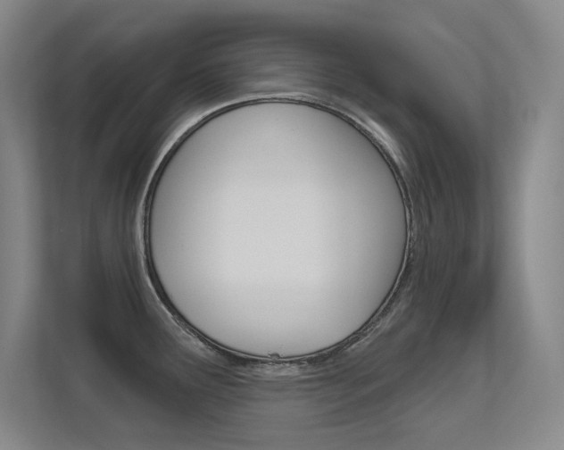 X0000112391291200908131336
