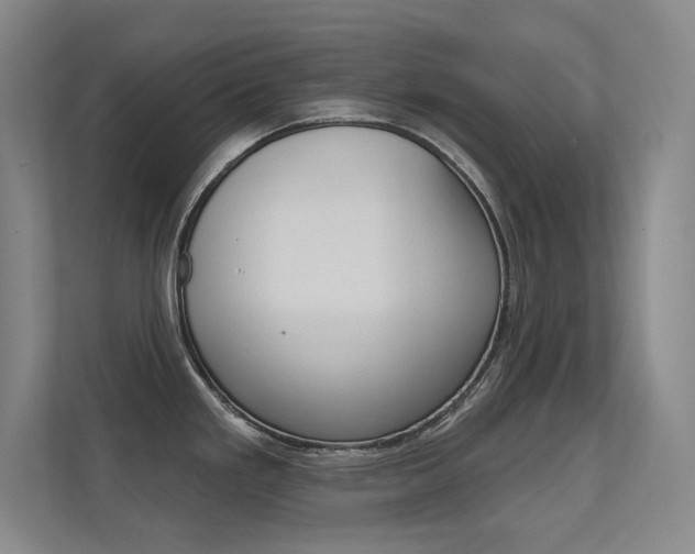 X0000112391293200908131336