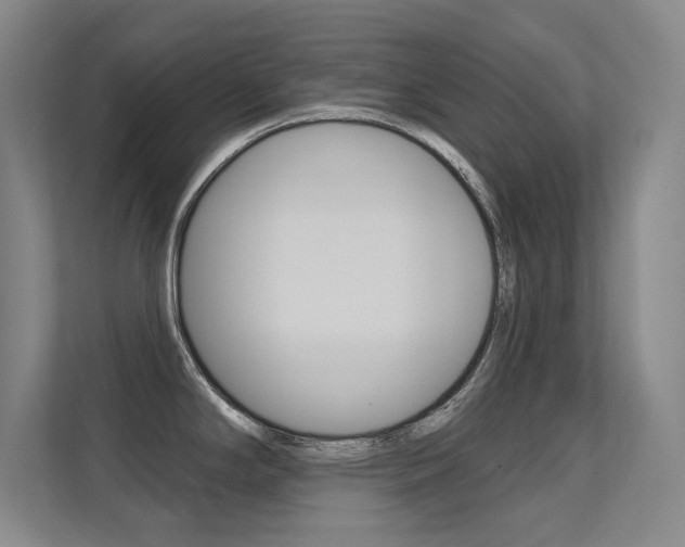 X0000112391294200908131336